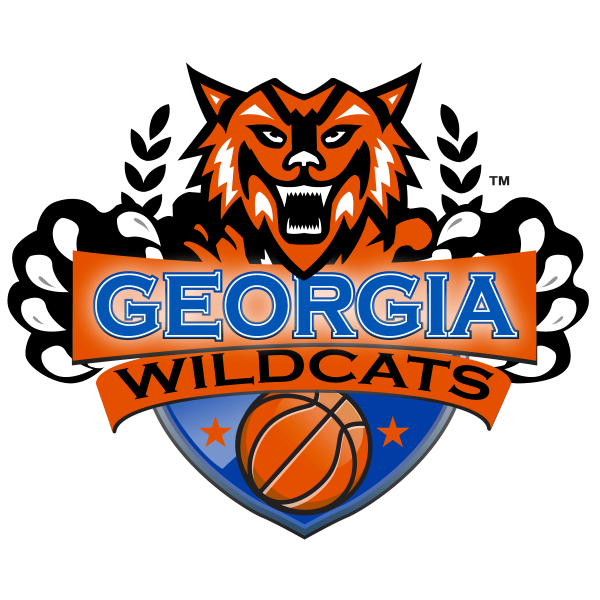 Georgia Wildcats Gray 2025