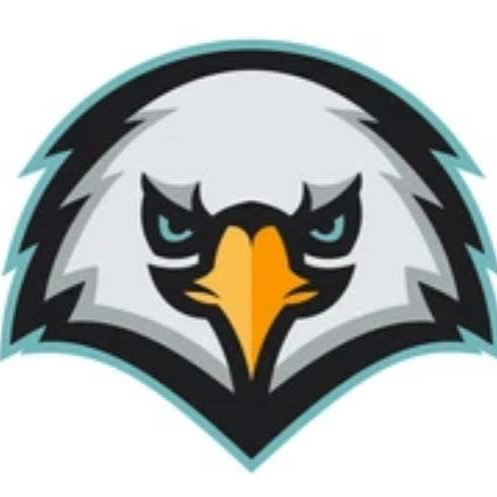 Huntsville Hawks 10u