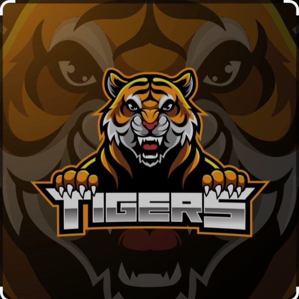 ADAMSVILLE 7u OTF youngins