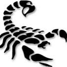 Scorpions Team Easton Black 10u