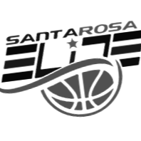 SR Elite Silver (2029)