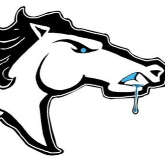 HAZELCREST MUSTANGS 8U