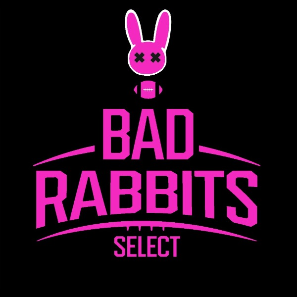 BAD RABBITS 12U BOYS