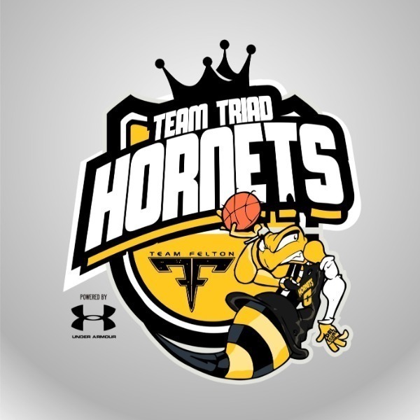 Team Felton Triad Hornets 13u
