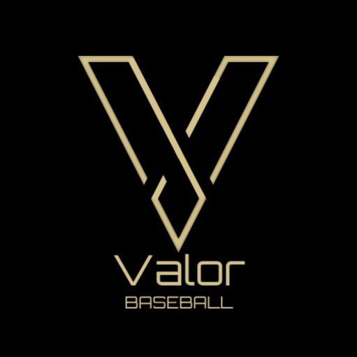 Valor 10u