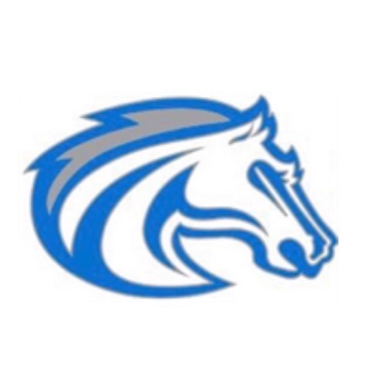 Mountain House Jr. Mustangs 14U