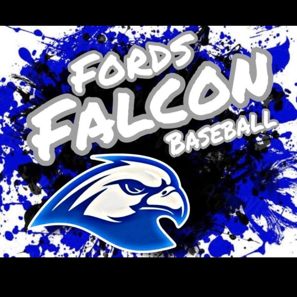 Fords Falcons 10U Castello