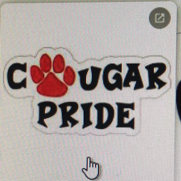 South Pontotoc Mighty Mites