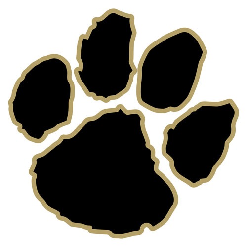 Point Boro Panthers - 11U