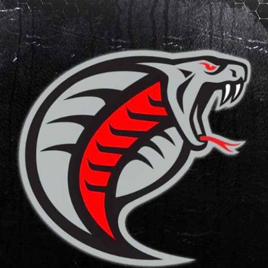 Southern tier cobras 8u