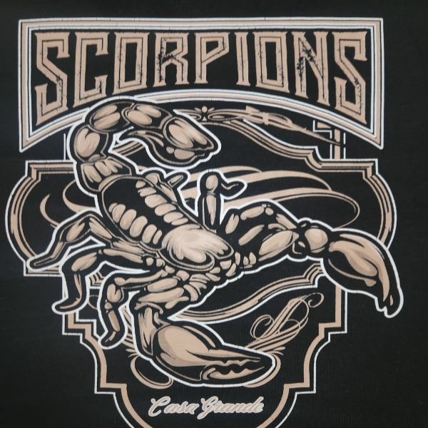 CG SCORPIONS 13U-2024