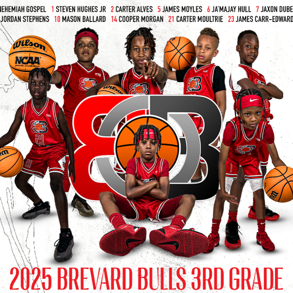 Brevard Bulls 2034