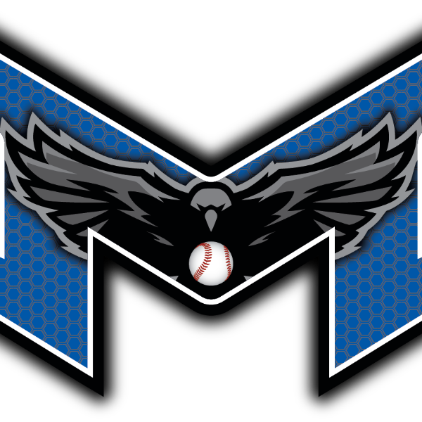 Michigan Blackhawks 12U