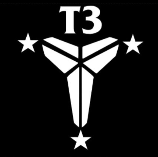 T3 Mamba 2030 [Black]