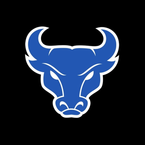 Powerhouse Bulls 2031