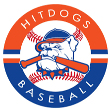 Motor City Hitdogs Carlington 14u