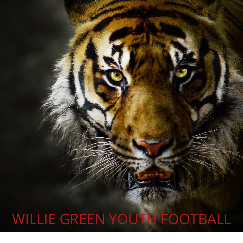 Willie Green 8U