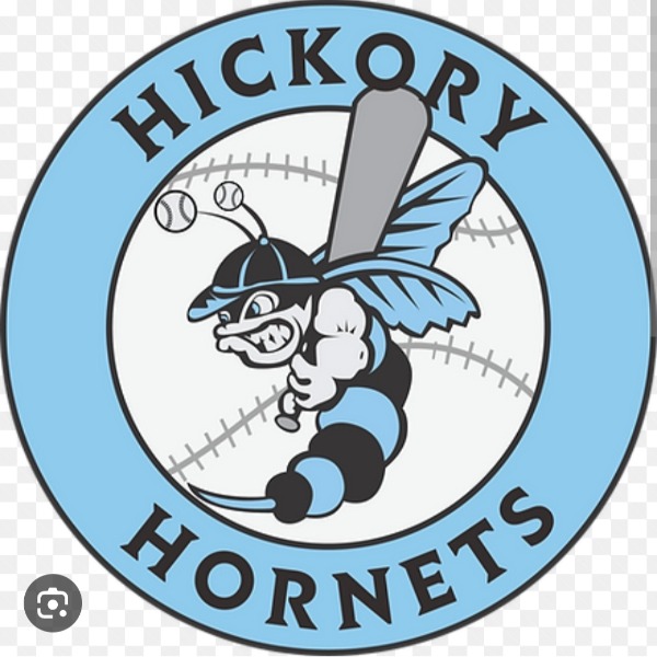 Hickory Hornets Blue