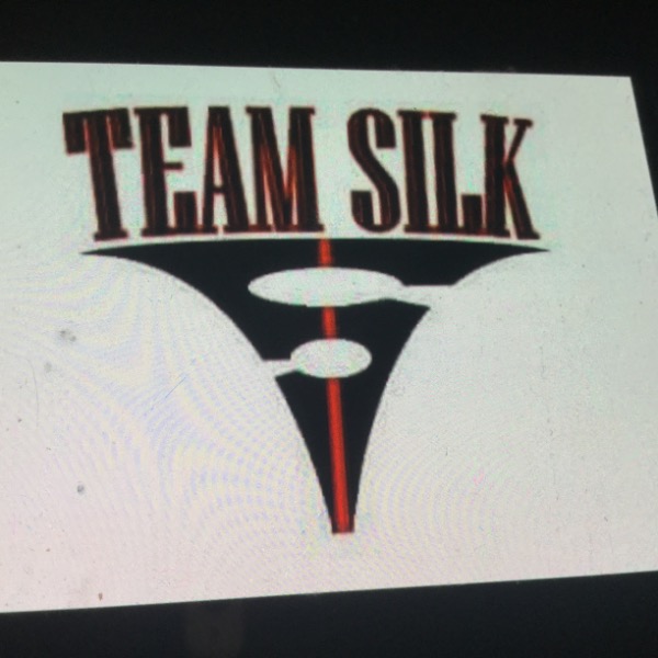 Team Silk