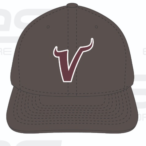 Viking Baseball Club 12U