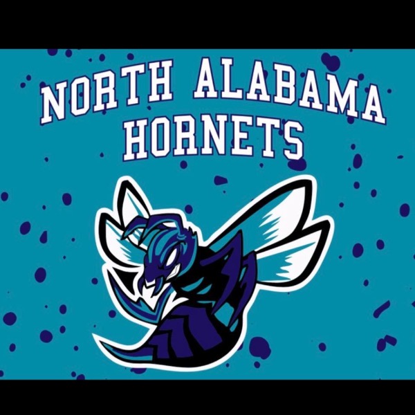 North Alabama Hornets 6U