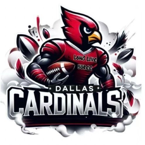 Dallas Cardinals Flag 6u 2024