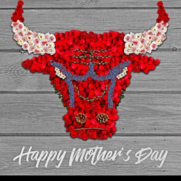 LOUISIANA LADY BULLS SELECT