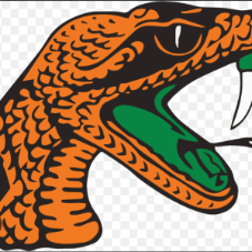 Georgia Rattlers - 12U