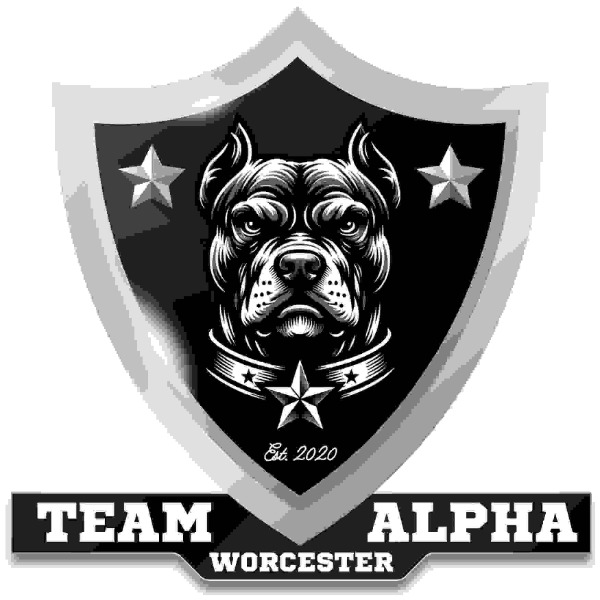 Worcester Cowboys 12u  Premier(WCB) 2024 NEYT