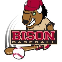 LZ 360 Bison 12U- DiMarzio