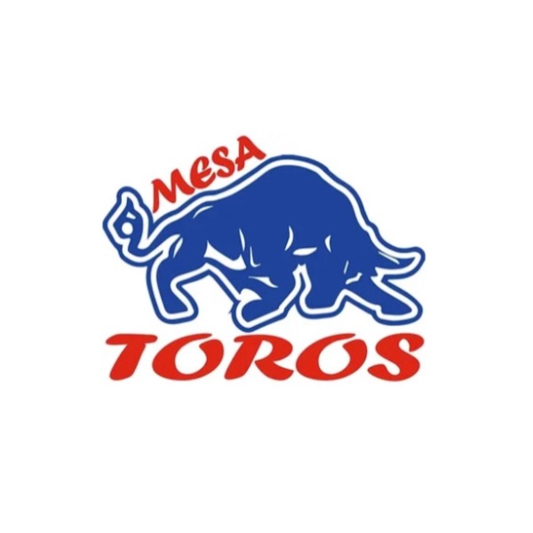 9U Mesa Toros