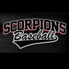 Scorpions Team Houston 11U