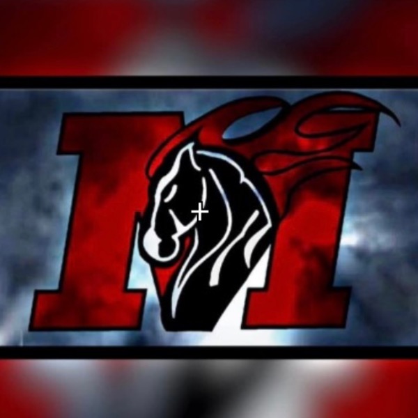 Manatee Mustangs Sports Academy