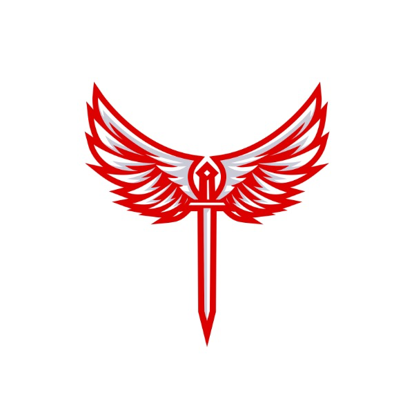 Warhawks United - 10U Travel Team