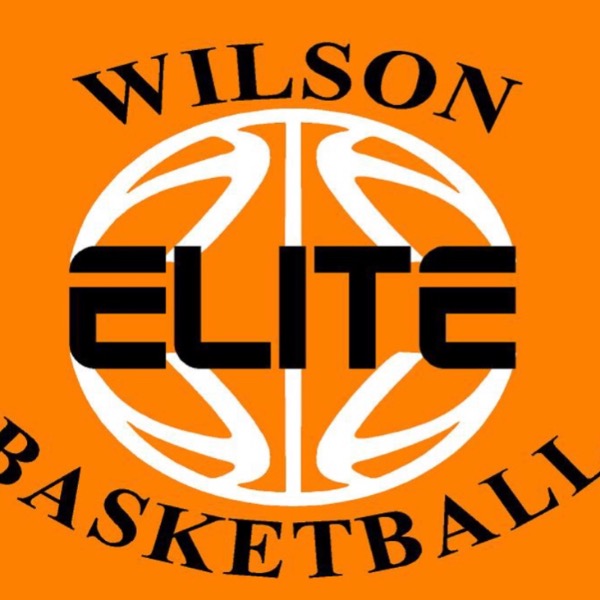 Wilson Elite