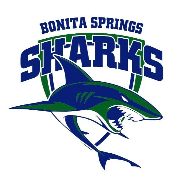 Sharks Cheer age 5-8