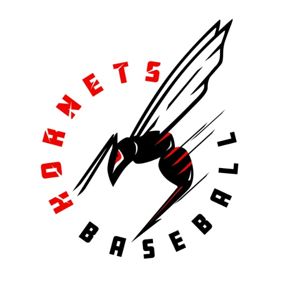 Hornets Baseball 16u