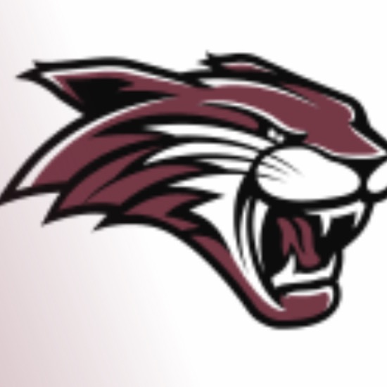 2025 Bethel Wildcats Football - 11U Tackle