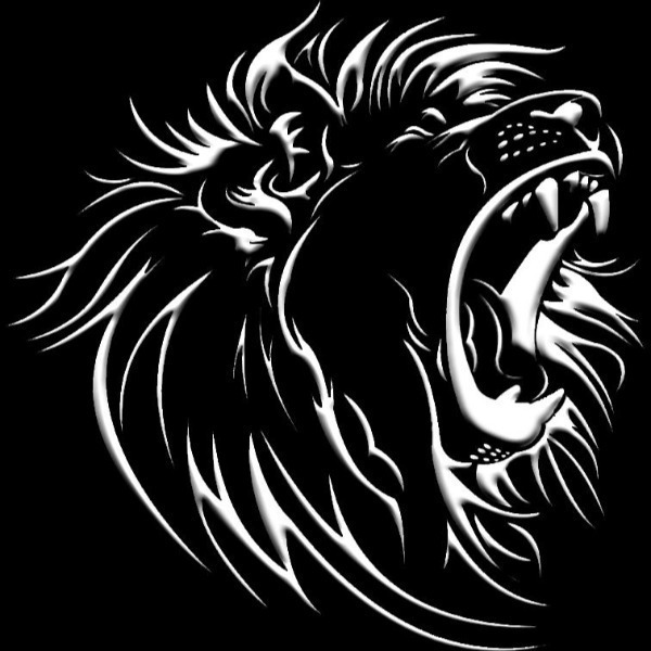 Wild Card Basketball 9th