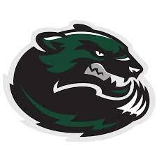 Hendersonville Wolverines