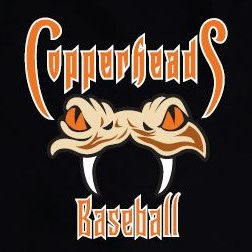 Falls Church Copperheads