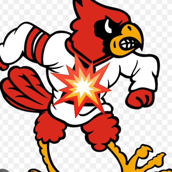 Marietta Cardinals 12U 2024