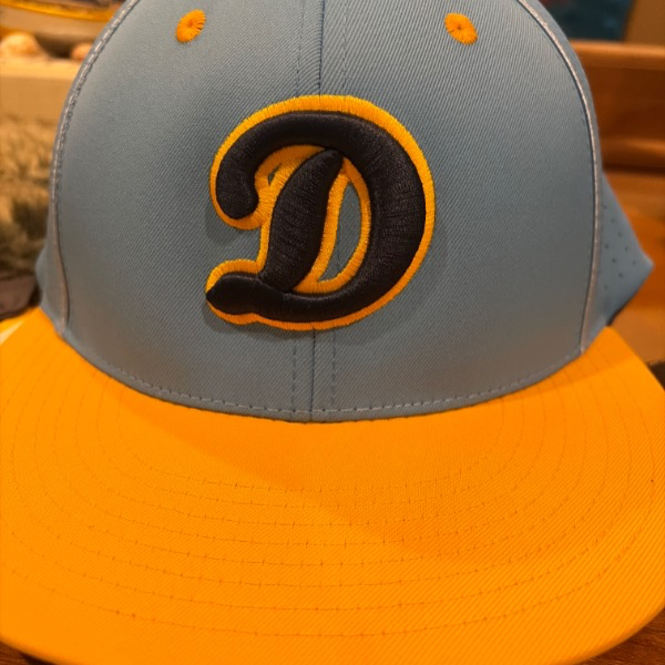 Delaware Riversharks