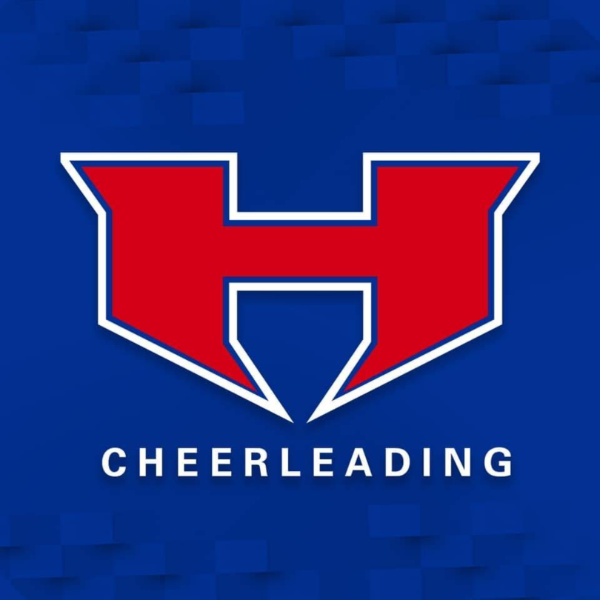 Henderson Lions Cheer Flag (4-6)