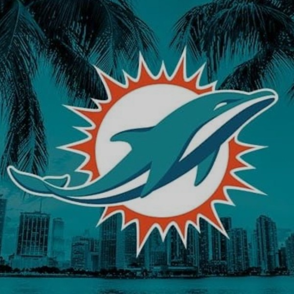 Powder Springs Dolphins