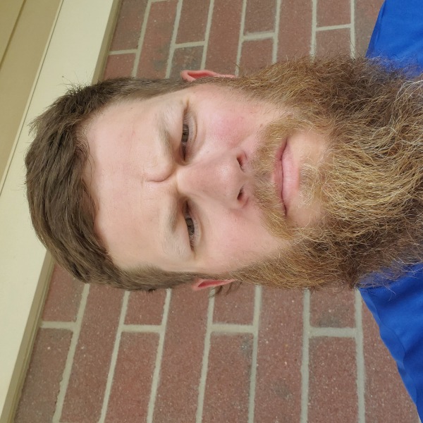 Ohio Hit Dogs Homier