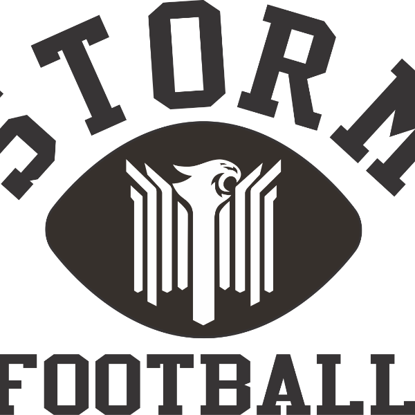 Phoenix Storm 13U Ahlstrom