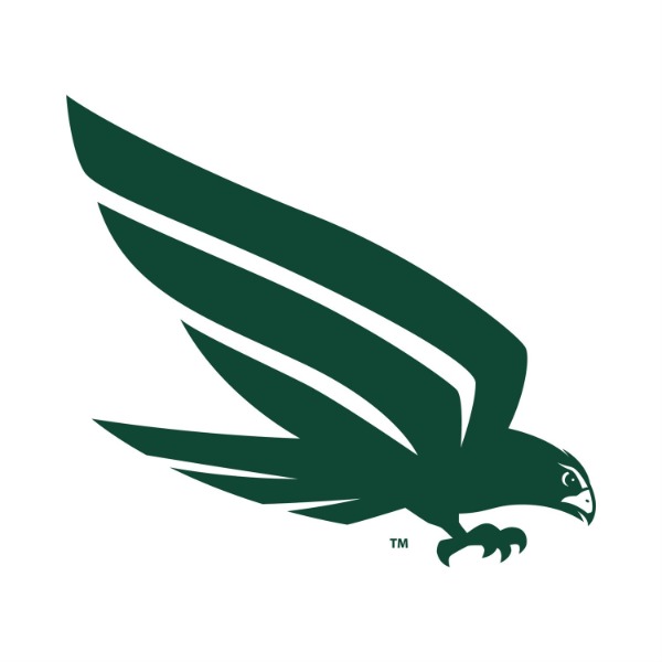 SVYFCA - 6th Grade Falcons