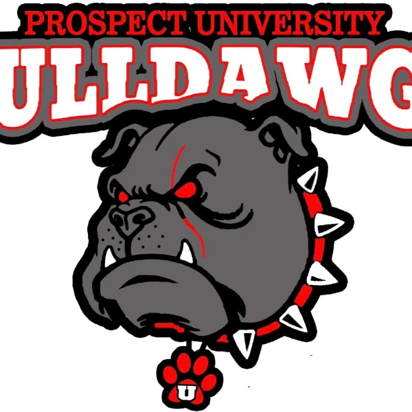 Prospect University 9U Bulldawgz