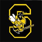 Sting Baseball Club 10U Gold